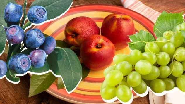 Що святити на Яблучний Спас 2026: повний список продуктів